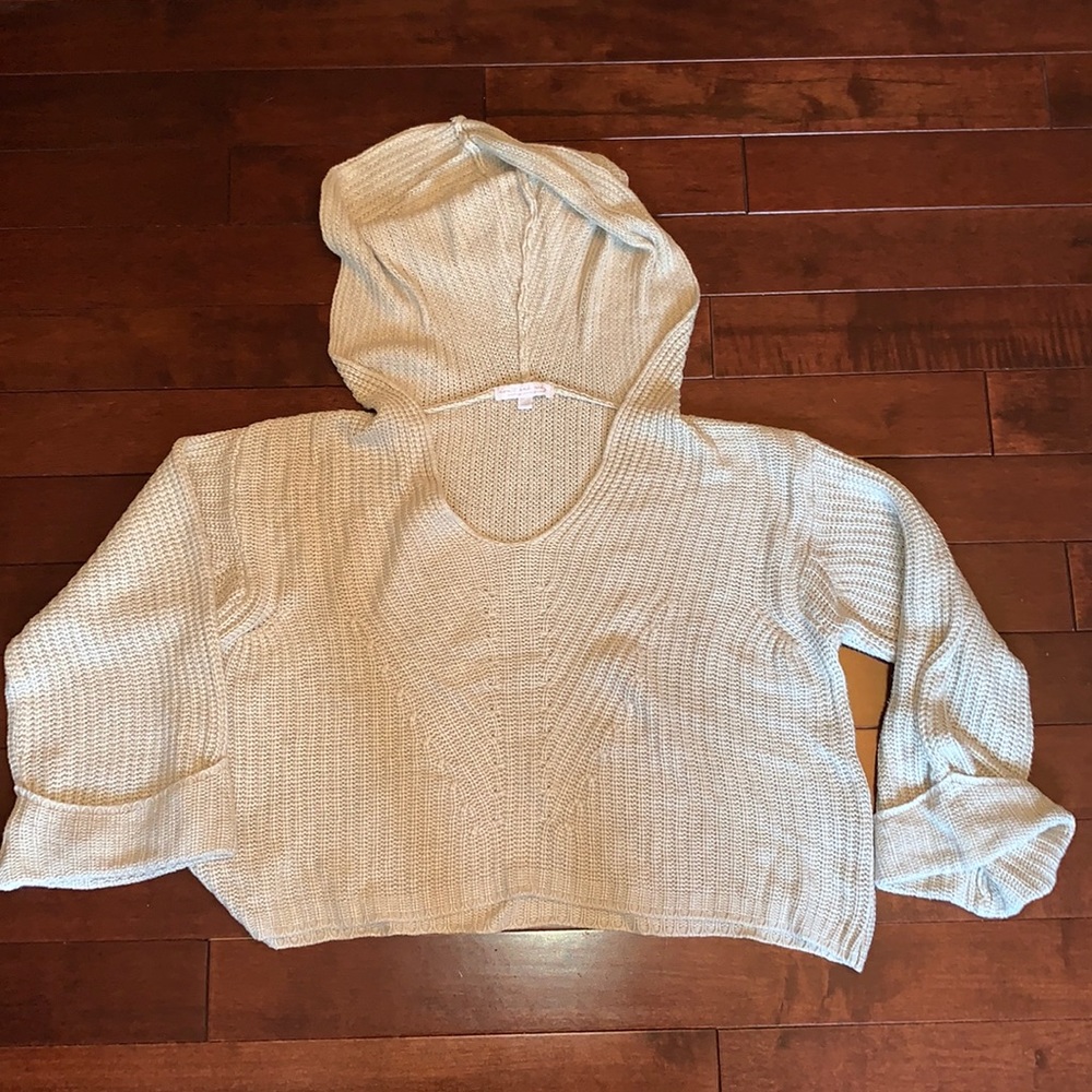 American eagle crop sweater (one size)